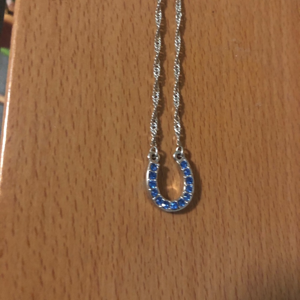Blue Horseshoe Necklace